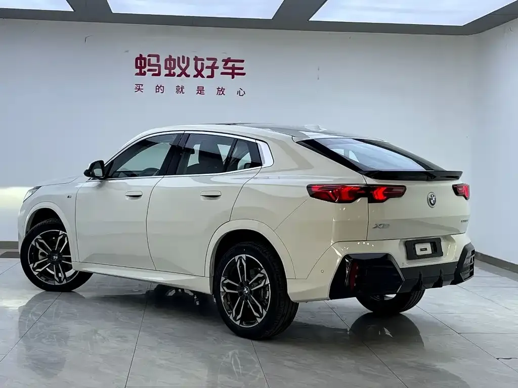 BMW X2 (Import) 2025 из CN, фото 7