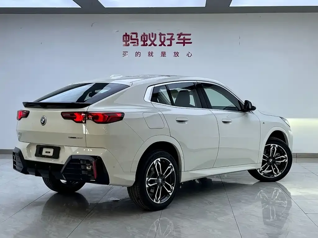 BMW X2 (Import) 2025 из CN, фото 5
