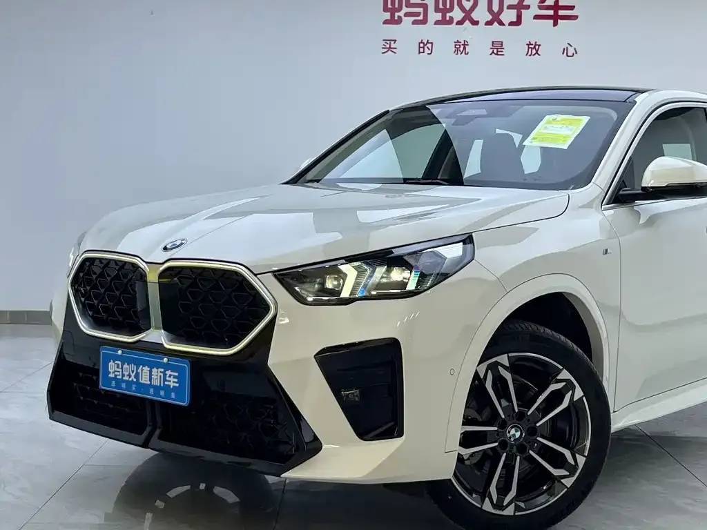 BMW X2 (Import) 2025 из CN, фото 4