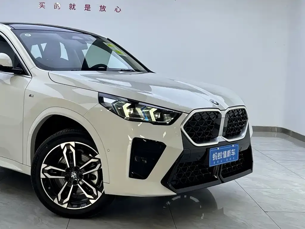 BMW X2 (Import) 2025 из CN, фото 8