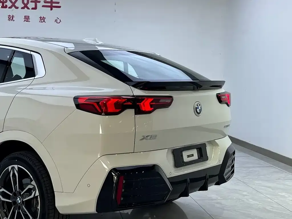 BMW X2 (Import) 2025 из CN, фото 6