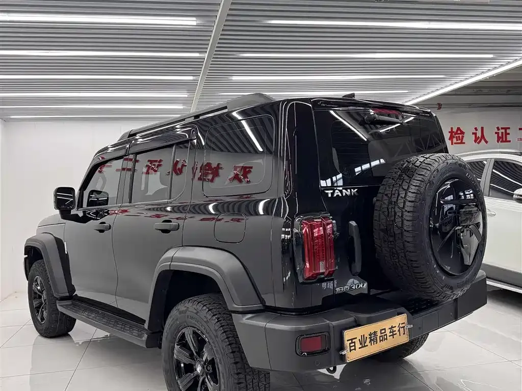 Tank 300 2022 из CN, фото 8