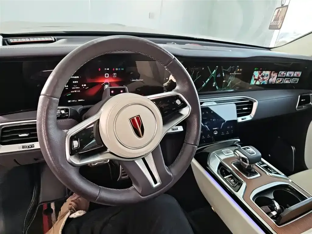 Hongqi E-HS9 2021 из CN, фото 8