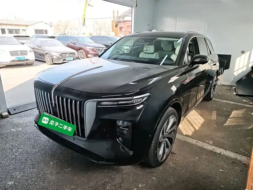 Hongqi E-HS9 2021 из CN, фото 3