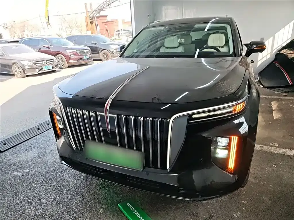 Hongqi E-HS9 2021 из CN, фото 5
