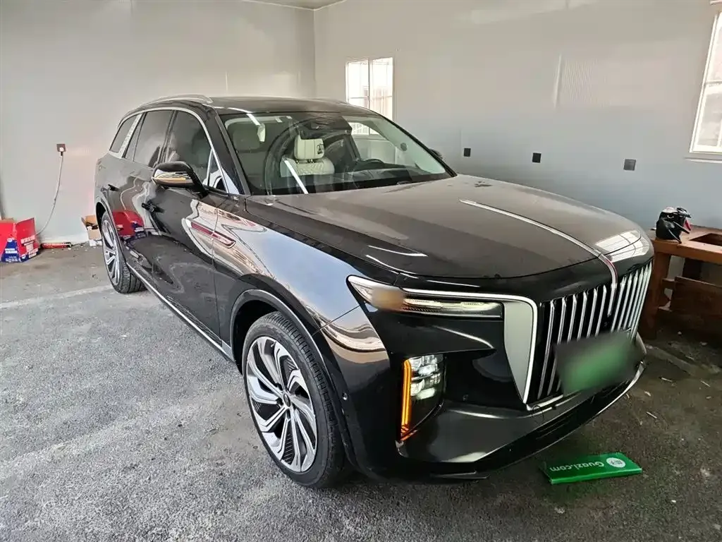 Hongqi E-HS9 2021 из CN, фото 4