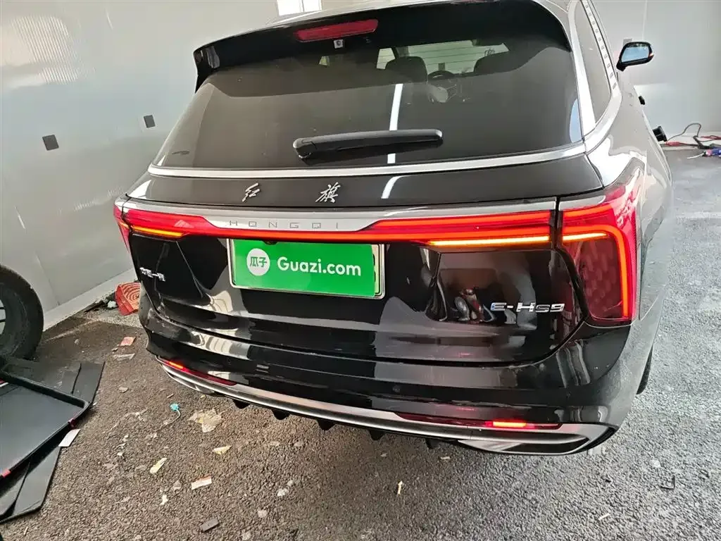 Hongqi E-HS9 2021 из CN, фото 10