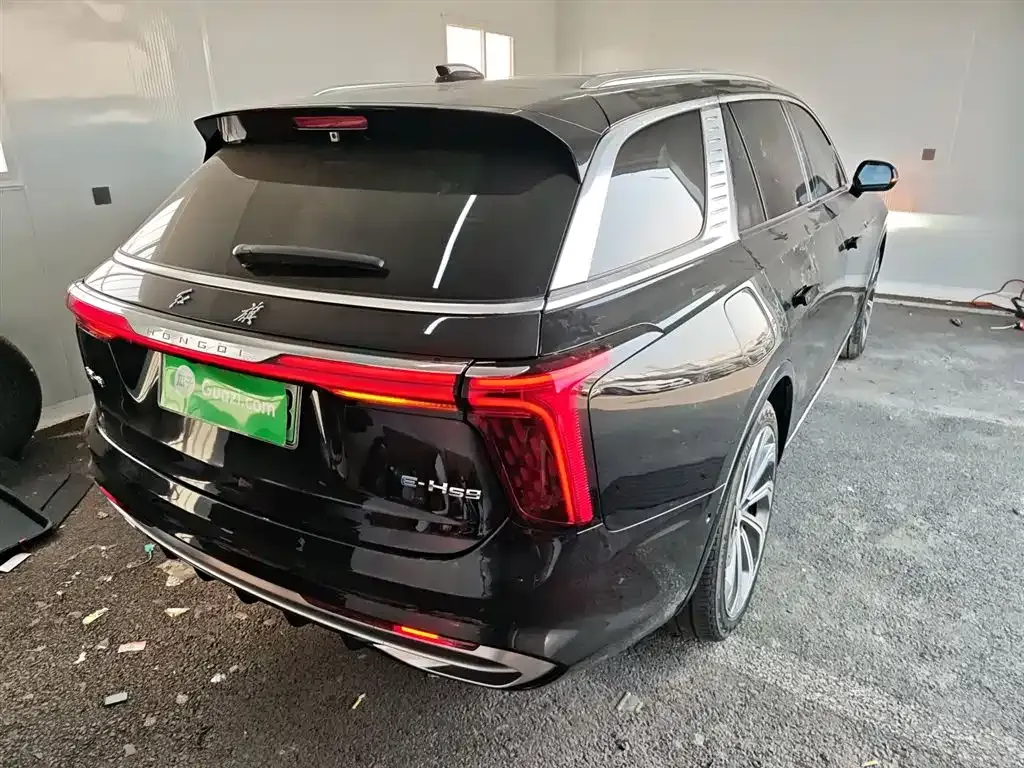 Hongqi E-HS9 2021 из CN, фото 9