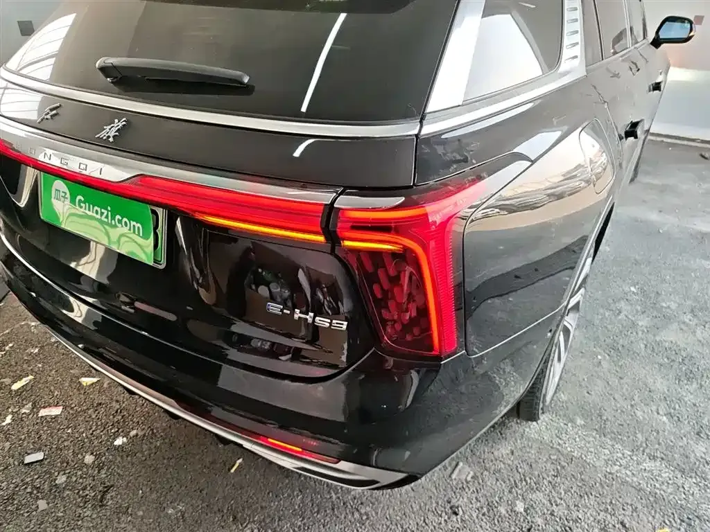 Hongqi E-HS9 2021 из CN, фото 6