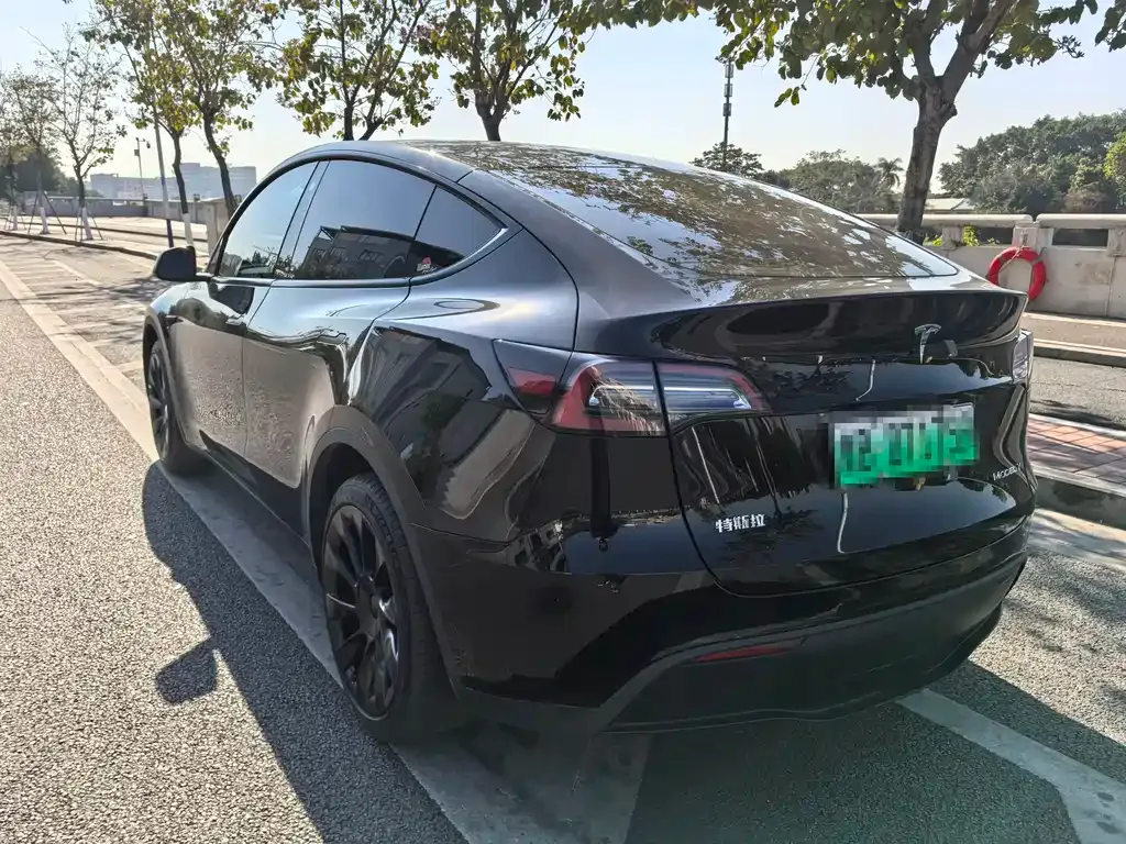 Tesla Model Y 2023 из CN, фото 7