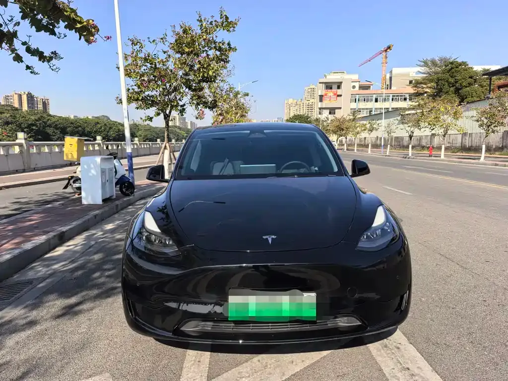 Tesla Model Y 2023 из CN, фото 6