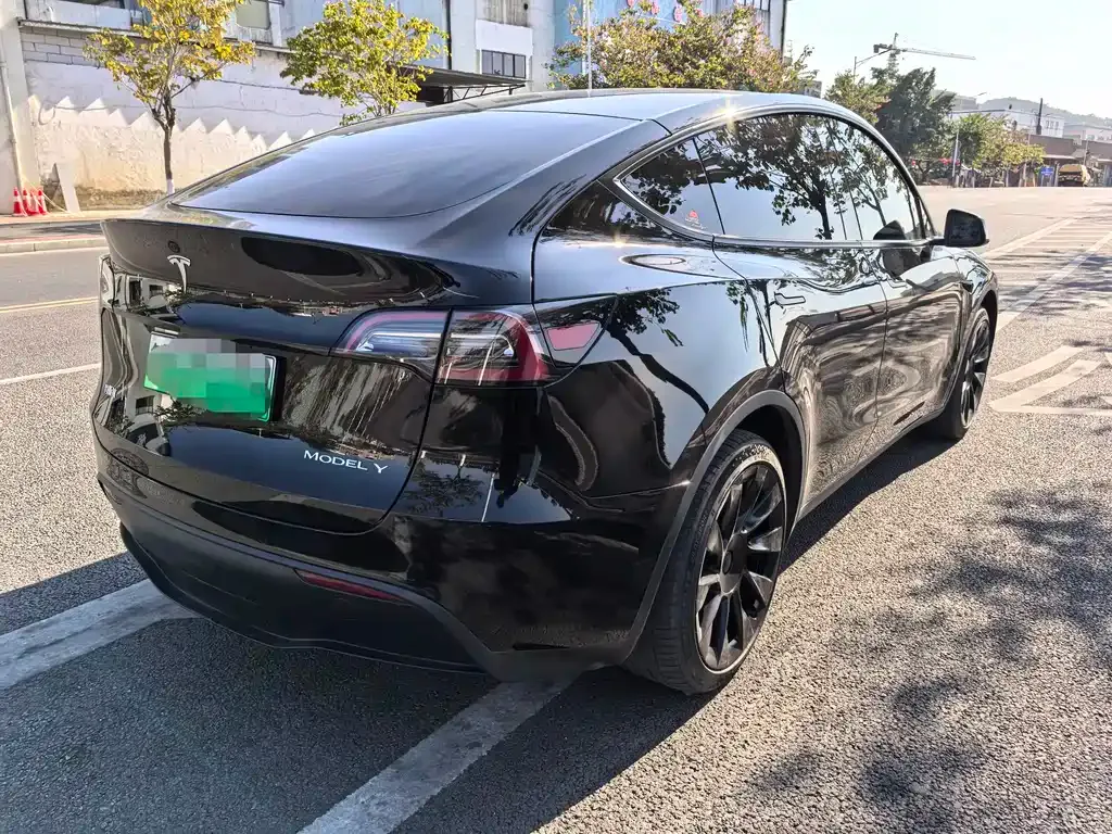 Tesla Model Y 2023 из CN, фото 5