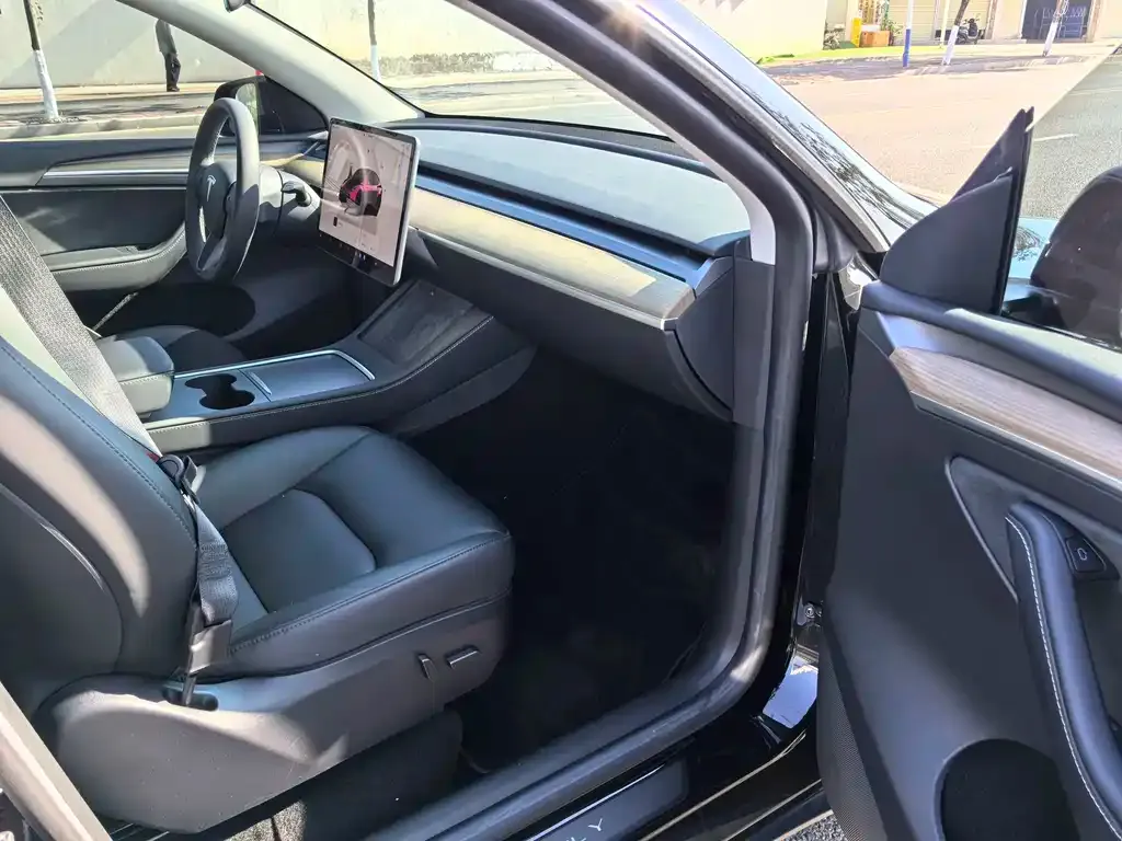Tesla Model Y 2023 из CN, фото 4