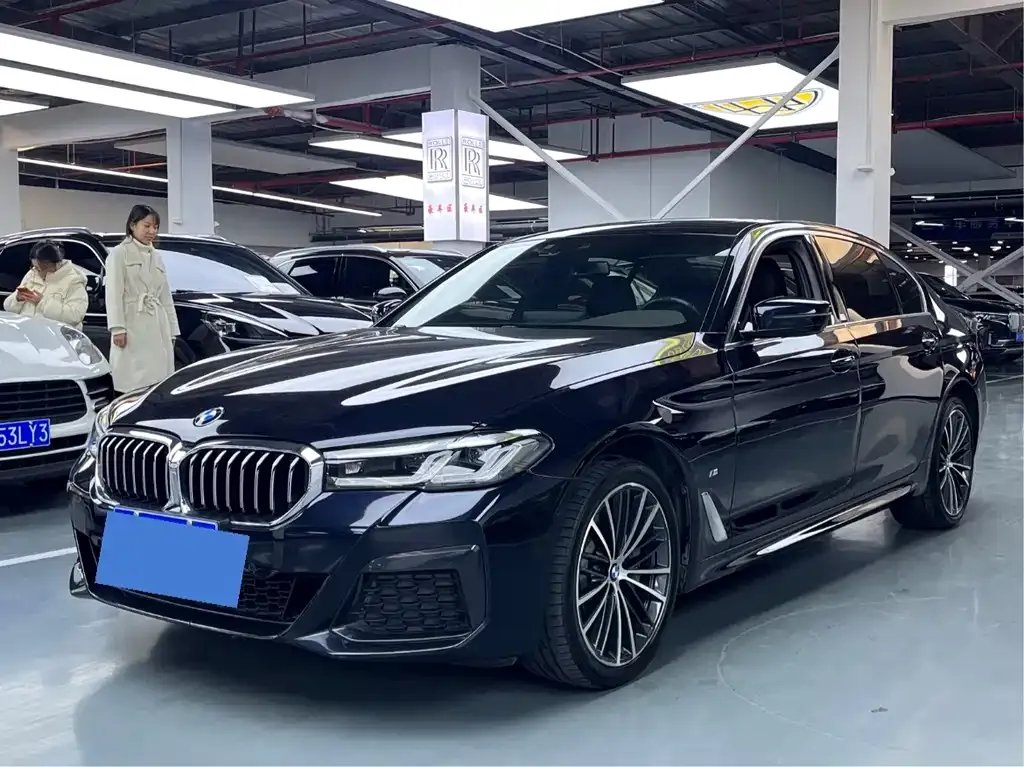 BMW 5 Series 2021 из CN, фото 1