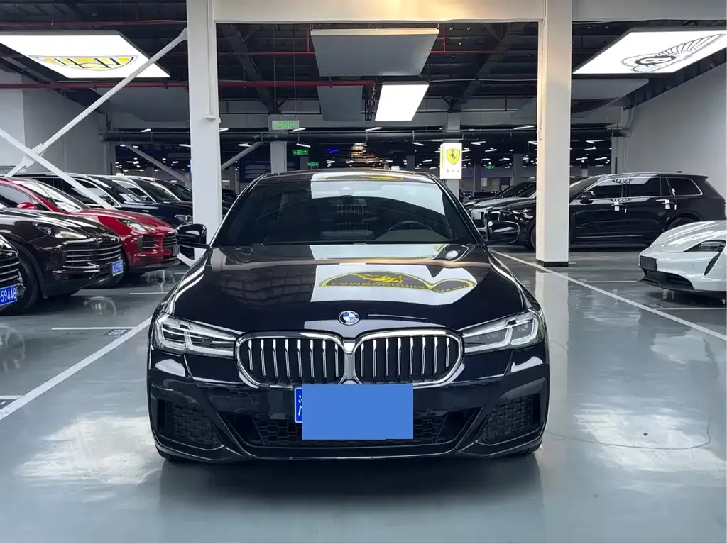BMW 5 Series 2021 из CN, фото 5
