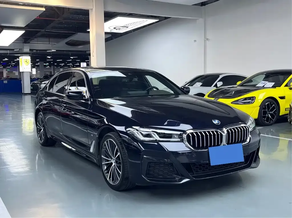 BMW 5 Series 2021 из CN, фото 8