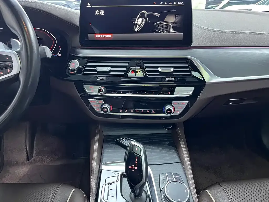 BMW 5 Series 2021 из CN, фото 4