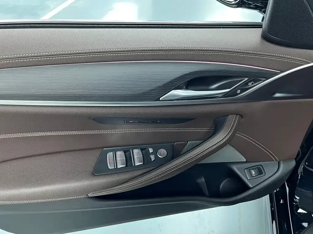BMW 5 Series 2021 из CN, фото 10