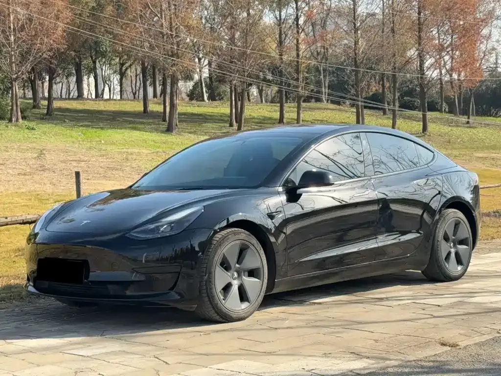 Tesla Model 3 2022 из CN, фото 1