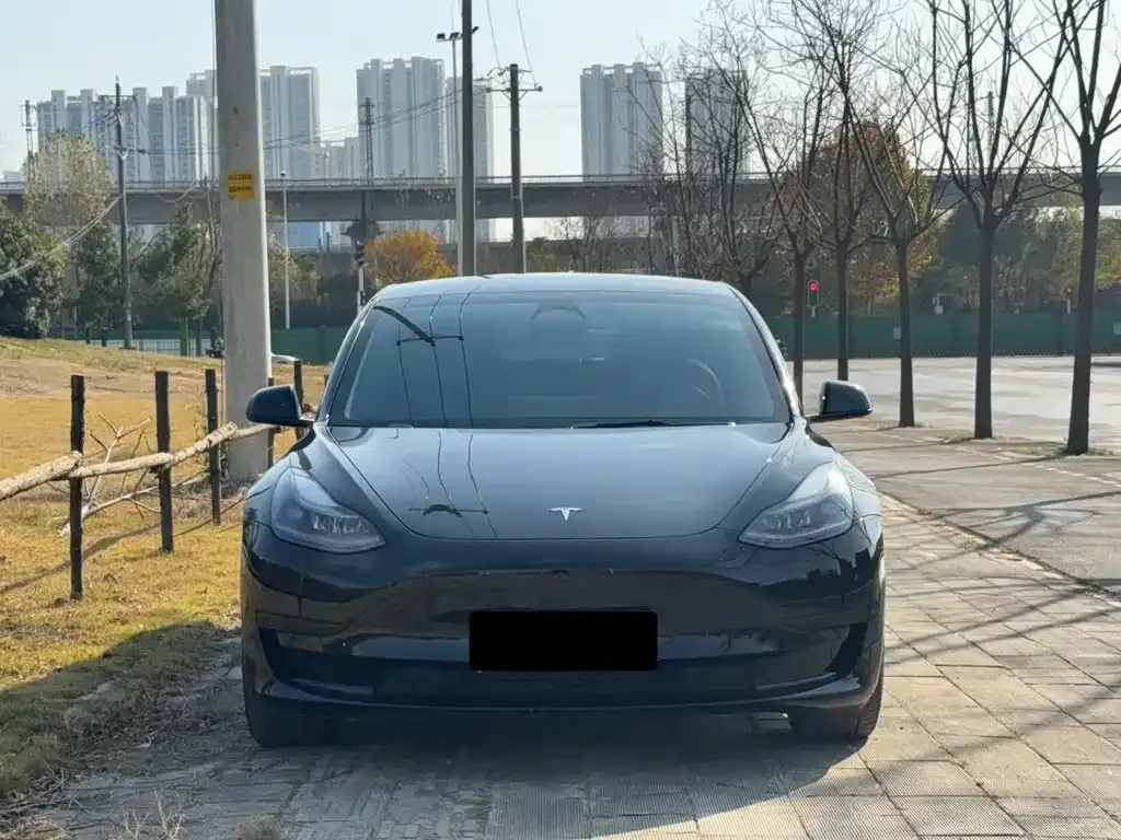 Tesla Model 3 2022 из CN, фото 2