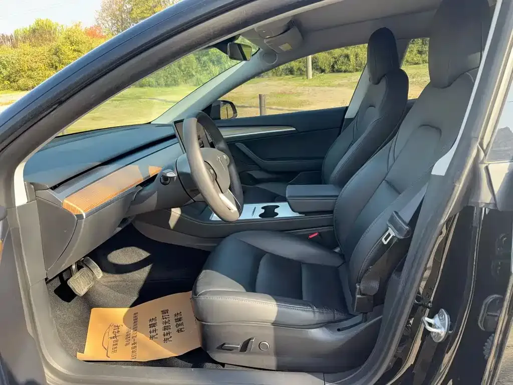 Tesla Model 3 2022 из CN, фото 3
