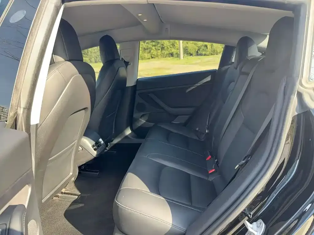Tesla Model 3 2022 из CN, фото 4