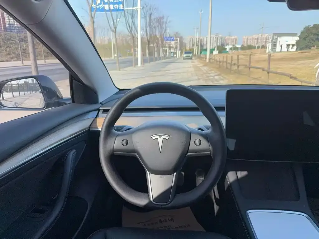 Tesla Model 3 2022 из CN, фото 6