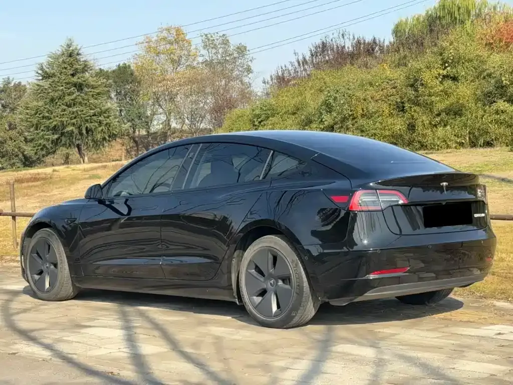 Tesla Model 3 2022 из CN, фото 8
