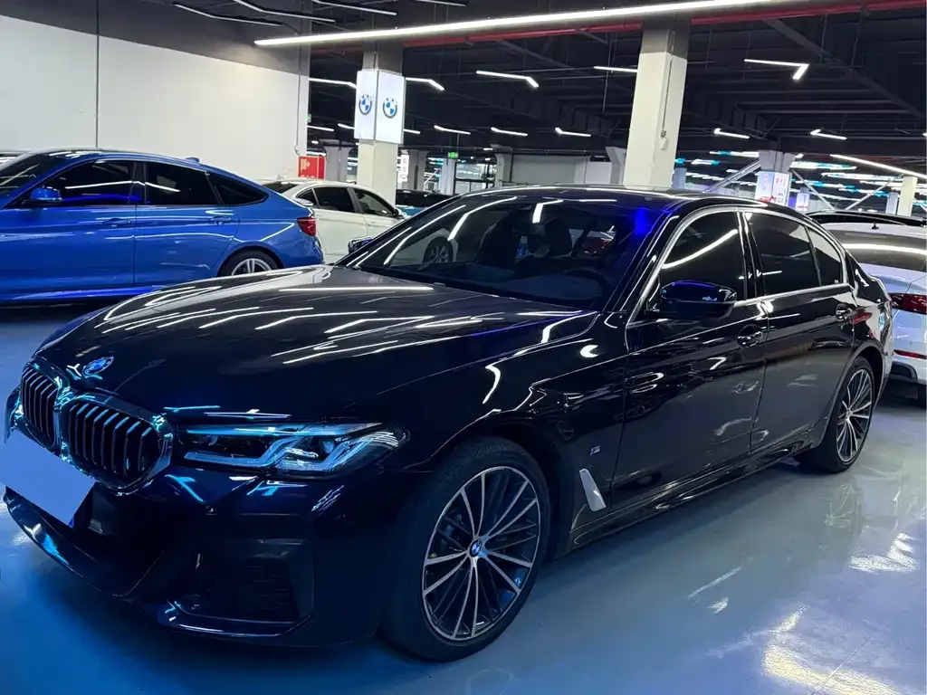 BMW 5 Series 2021 из CN, фото 1