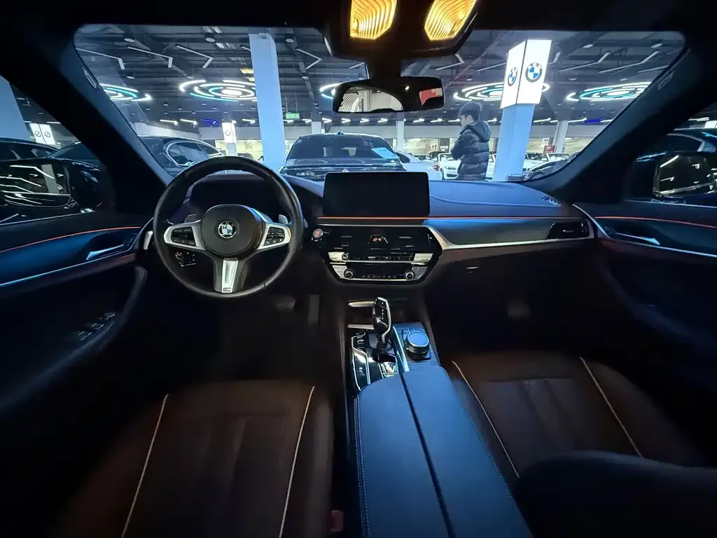 BMW 5 Series 2021 из CN, фото 8