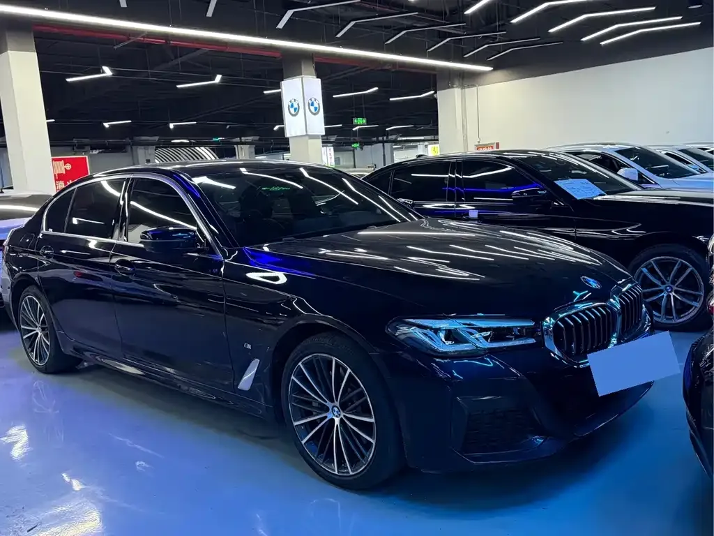 BMW 5 Series 2021 из CN, фото 6