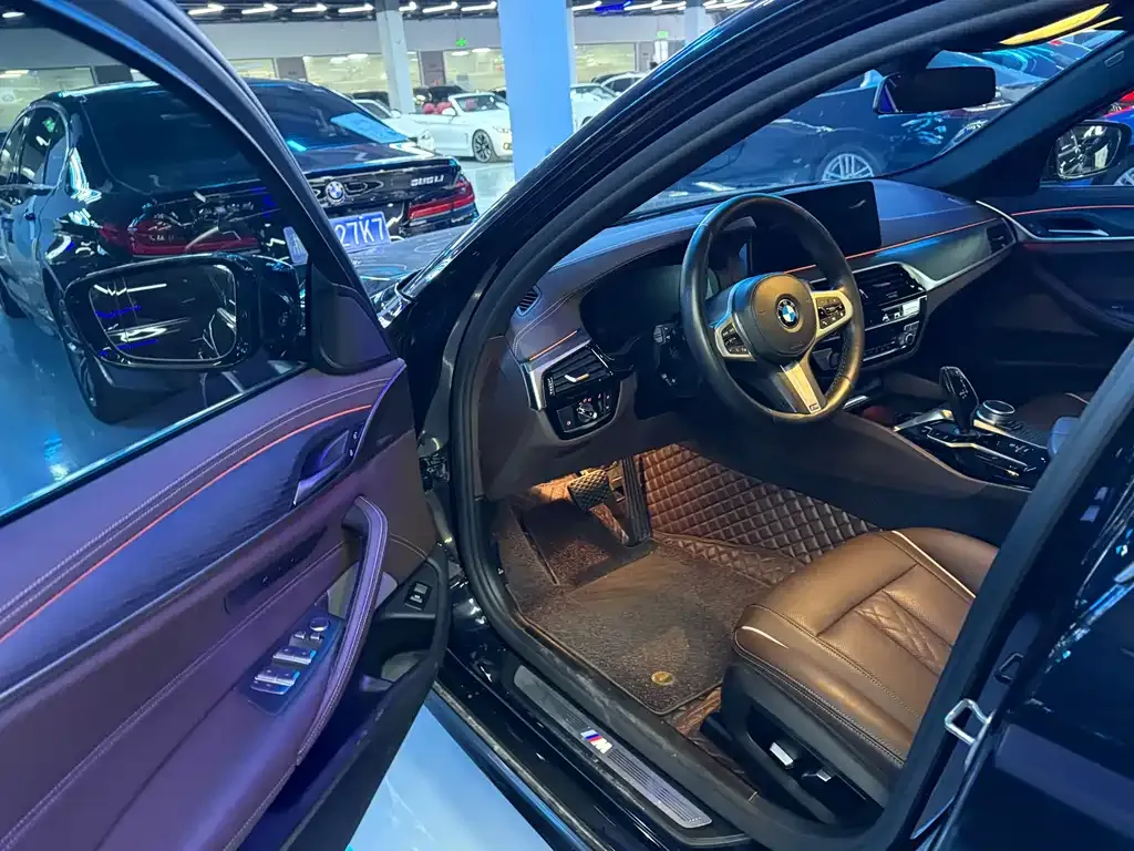 BMW 5 Series 2021 из CN, фото 10