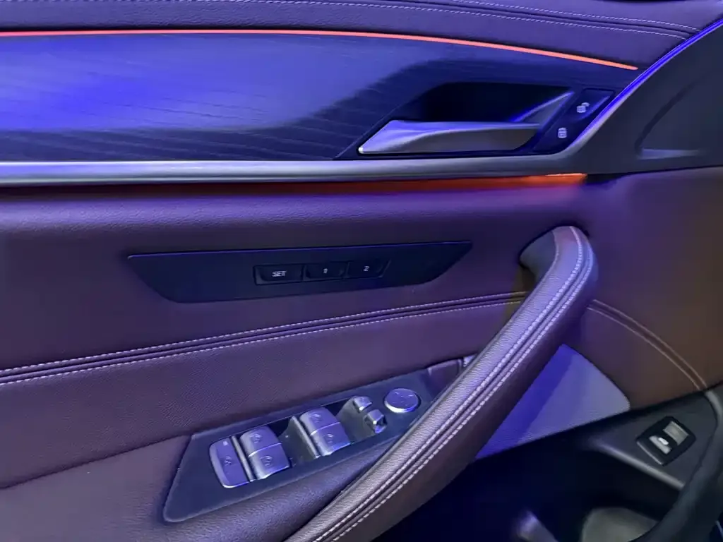 BMW 5 Series 2021 из CN, фото 2