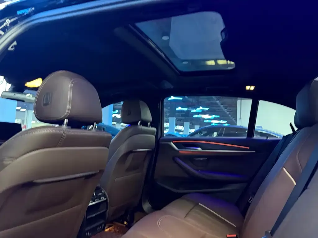 BMW 5 Series 2021 из CN, фото 9