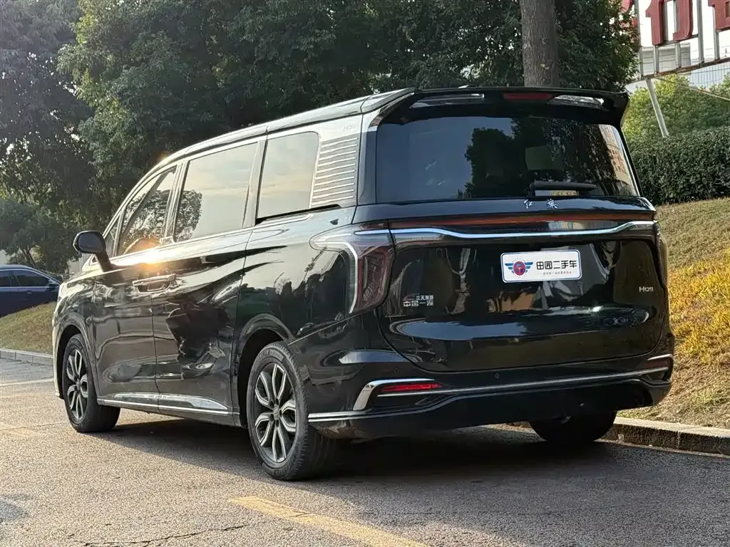 Hongqi HQ9 2023 из CN, фото 10