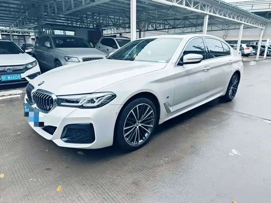 BMW 5 Series 2021 из CN, фото 1