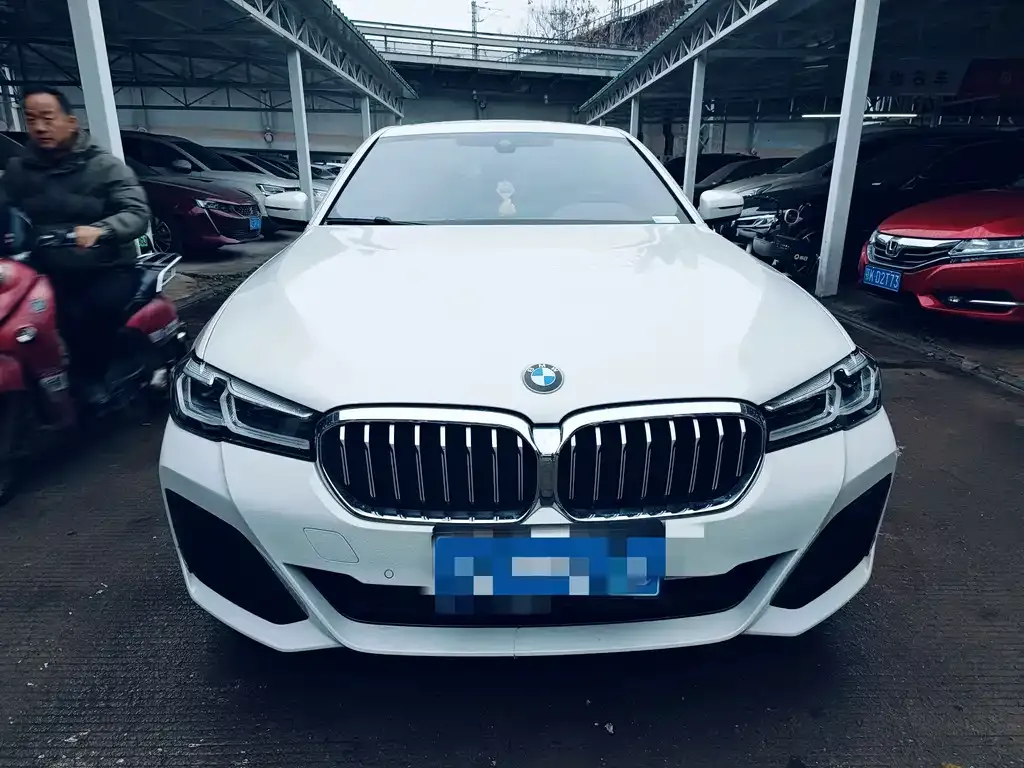 BMW 5 Series 2021 из CN, фото 7