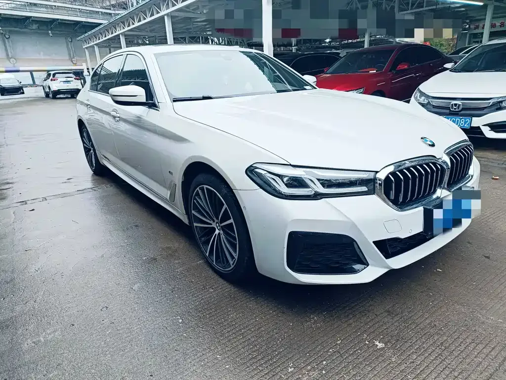 BMW 5 Series 2021 из CN, фото 9