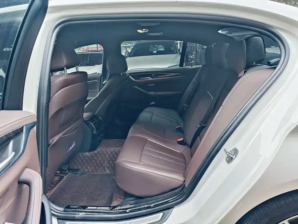 BMW 5 Series 2021 из CN, фото 6