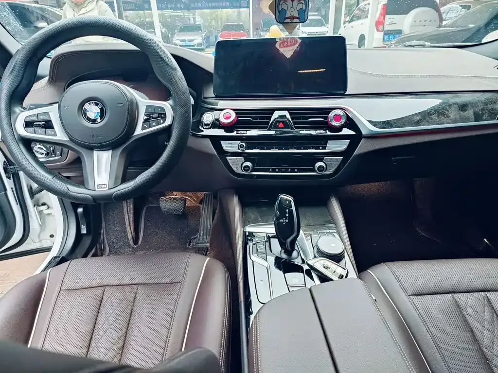 BMW 5 Series 2021 из CN, фото 5