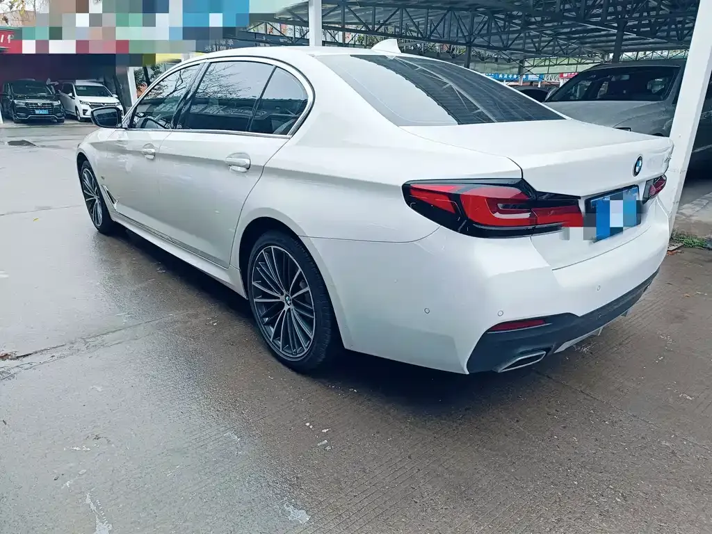 BMW 5 Series 2021 из CN, фото 4