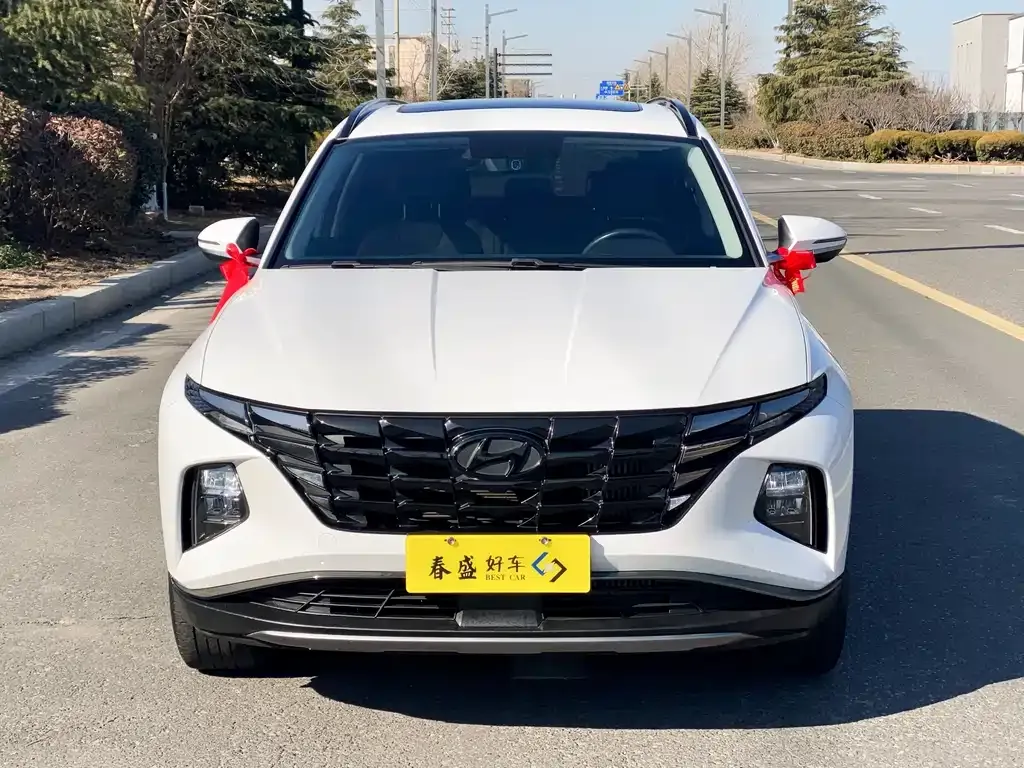 Hyundai Tucson 2024 из CN, фото 5