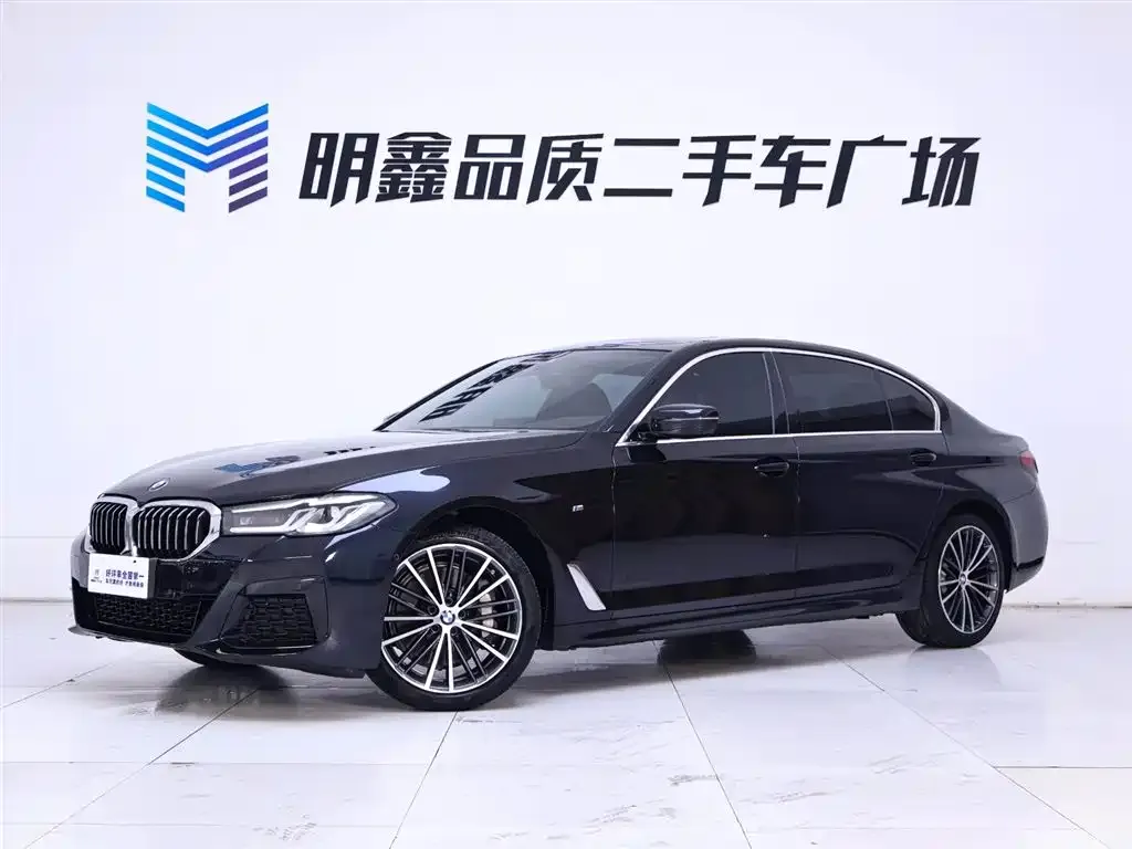 BMW 5 Series 2023 из CN, фото 2