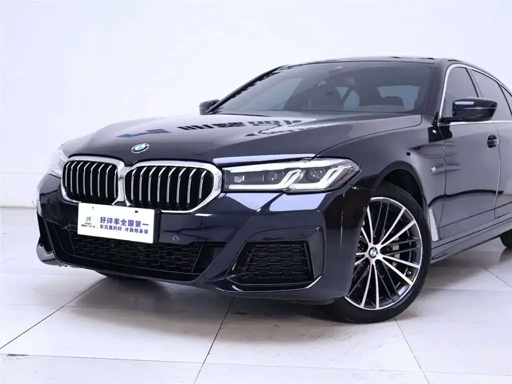 BMW 5 Series 2023 из CN, фото 6