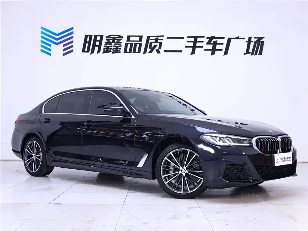 BMW 5 Series 2023 из CN, фото 9
