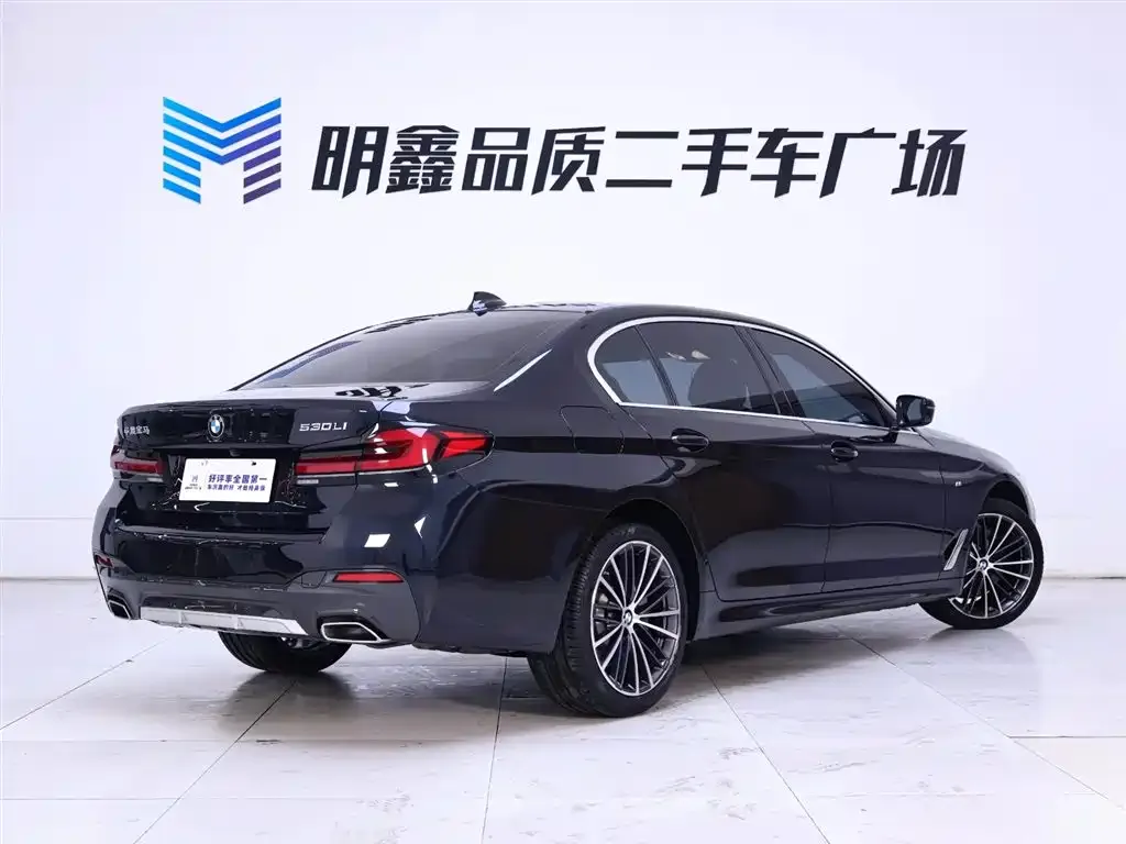 BMW 5 Series 2023 из CN, фото 4