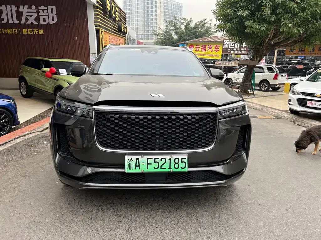Li Auto ONE 2021 из CN, фото 8