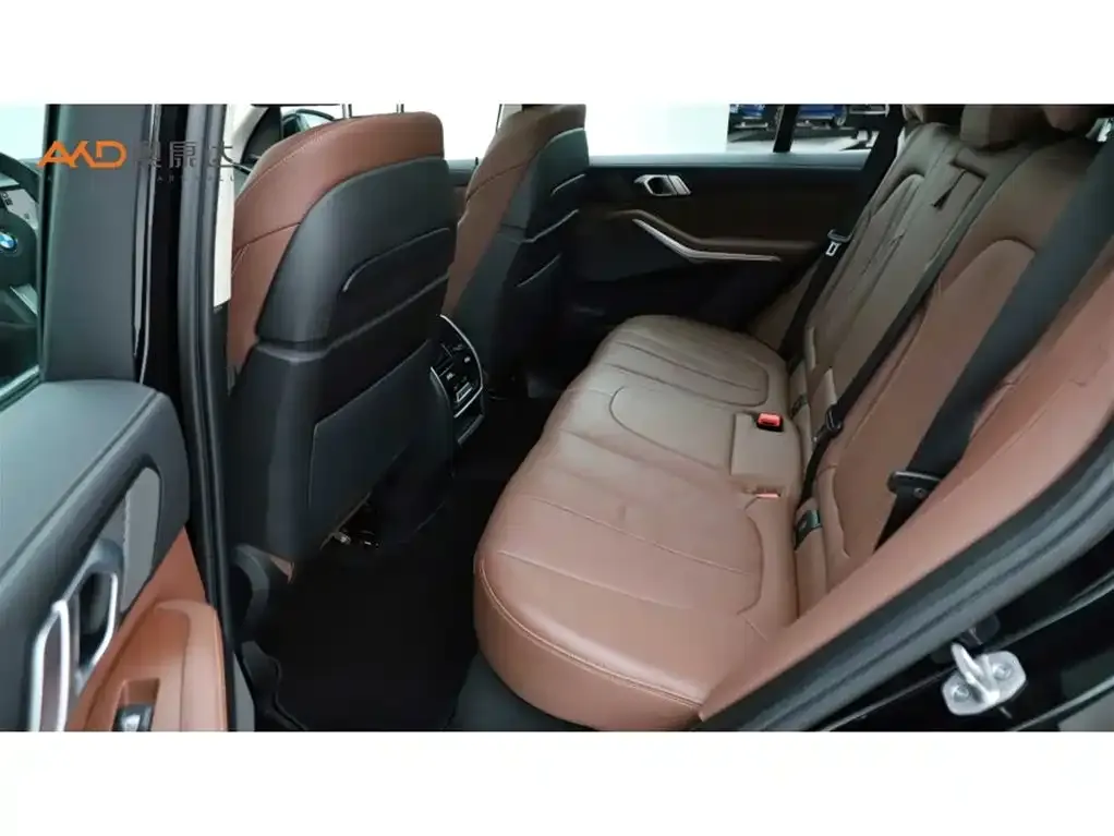 BMW X5 (Import) 2022 из CN, фото 7