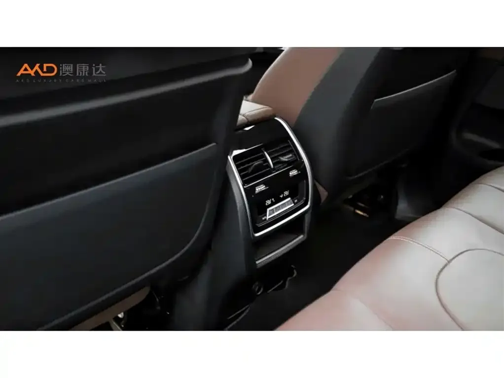 BMW X5 (Import) 2022 из CN, фото 4