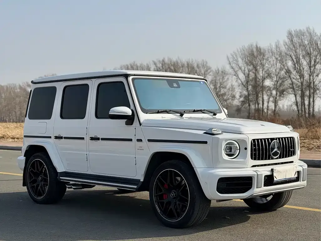 Mercedes-Benz G-Class 2023 из CN, фото 6
